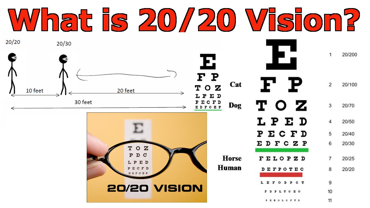 Зрение 10 20. 20/20 Vision. Зрение -20. Visual Acuity 20/400. Зрение 20/100.